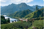 Sichuan · Mengding TeaTea-growing region