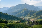 Yunnan · Pu-erh TeaTea-growing region