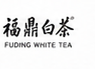 Fuding White Tea